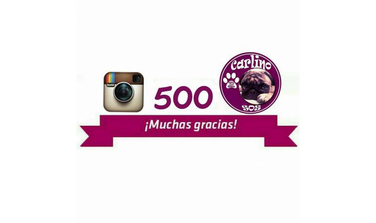 500 seguidores en Instagram