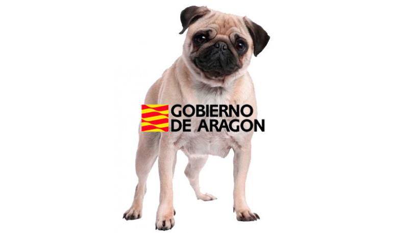  Ley 11/2003, de 19 de marzo, de protección animal en la Comunidad Autónoma de Aragón
