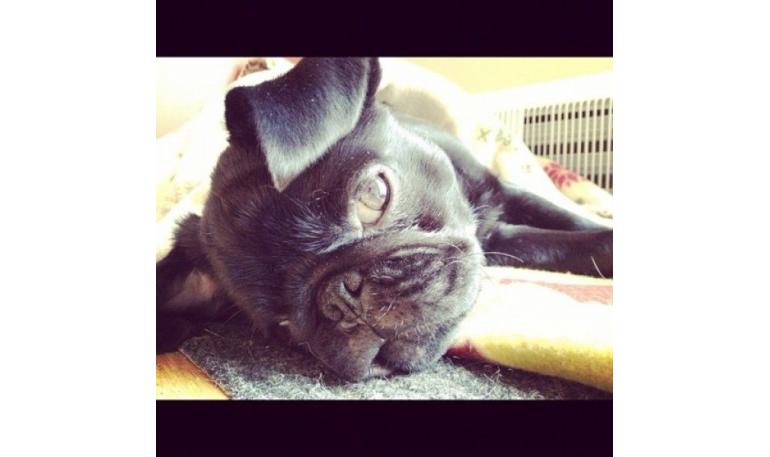 ¿Verdades o mitos de la esterilización?