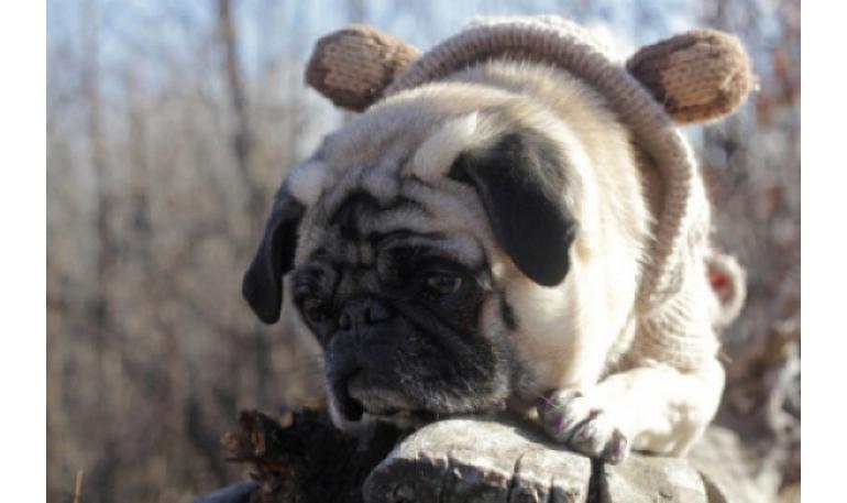 Forma de trabajo recomendada