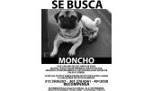 Moncho 9