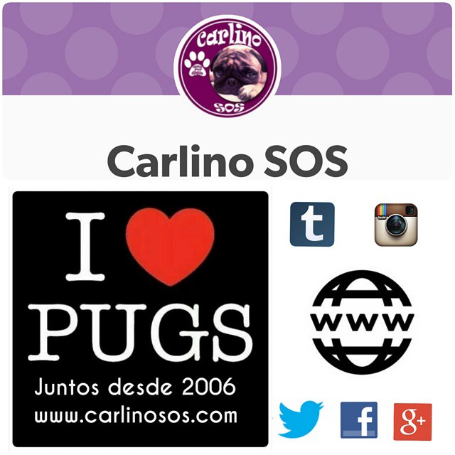 Imágen de Instagram - Carlinosos 2015-05-26