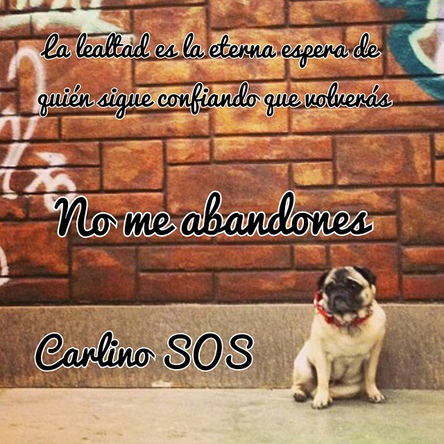 Imágen de Instagram - Carlinosos 2015-02-09