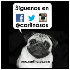 Imágen de Instagram - Carlinosos 