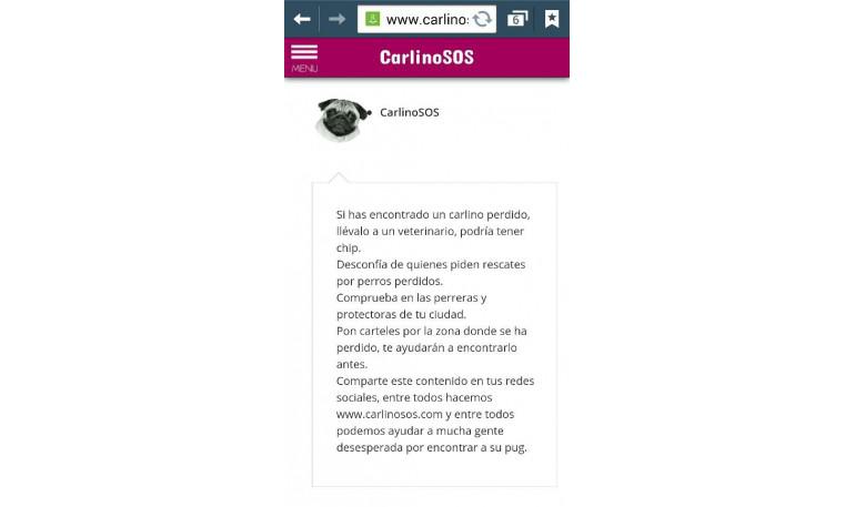 Seguimos trabajando en la web