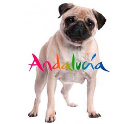 Ley 11/2003, de 24 de noviembre, de Protección de los Animales - Andalucía, España