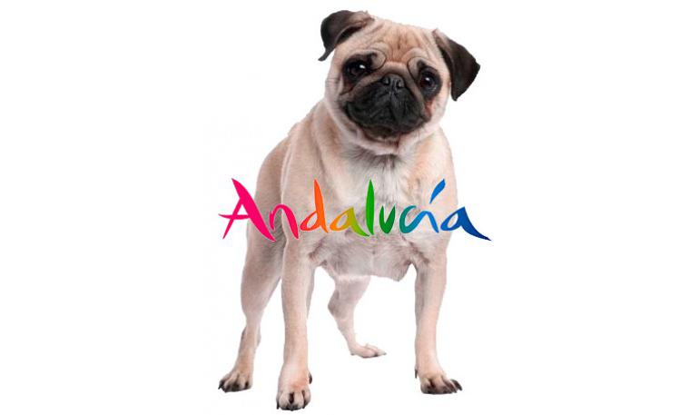 Ley 11/2003, de 24 de noviembre, de Protección de los Animales - Andalucía, España