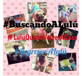 Lulú