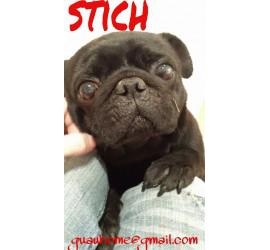 Stich