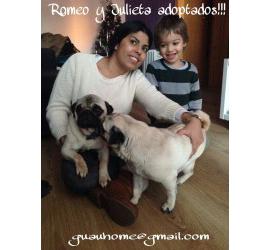Romeo y Julieta