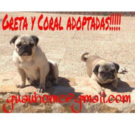 Greta y Coral
