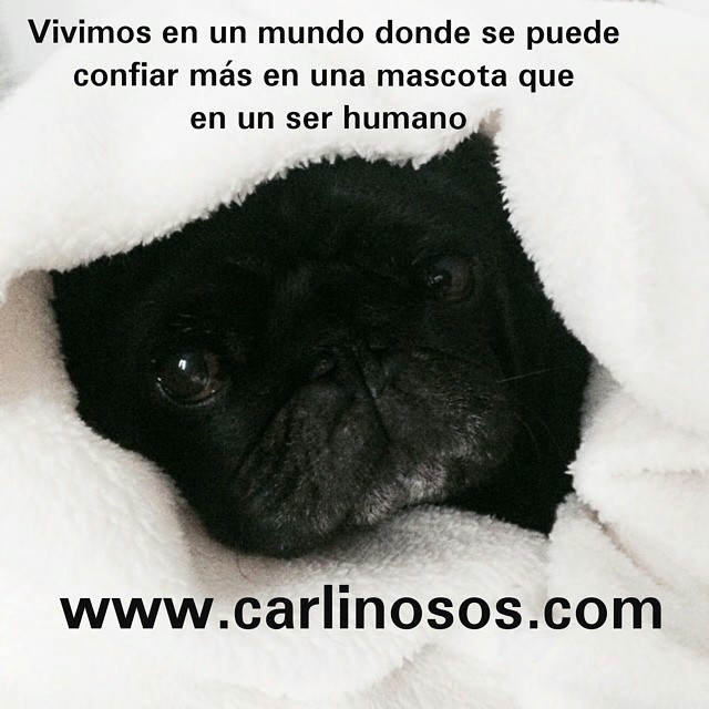 Imágen de Instagram - Carlinosos 2015-05-15